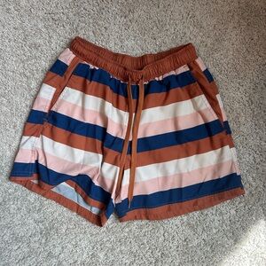 Men’s Striped Multicolor Swim Shorts